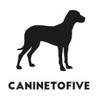 Canine to five Loughton Essex Logo 