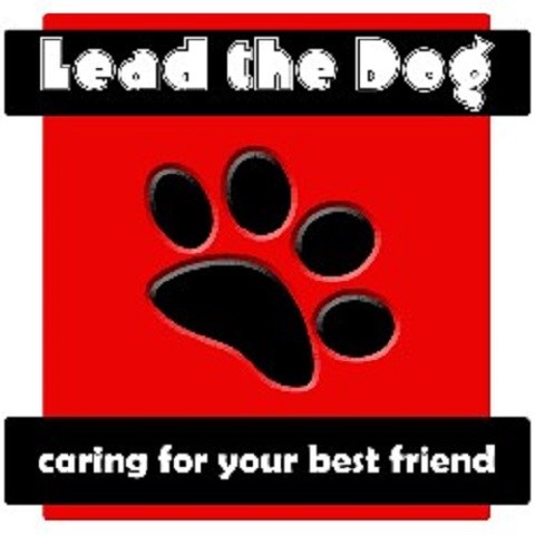 Lead The Dog