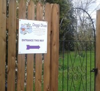 Doggi Divas Doncaster South Yorkshire Logo 