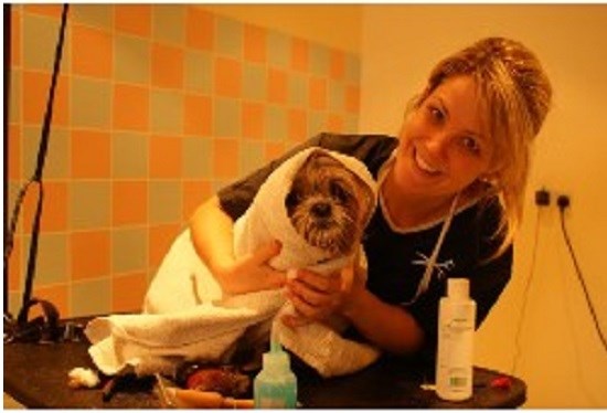 Hadleyhounds Dog Grooming Spa And Boutique