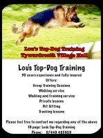 Lou's Top-Dog Training Tywardreath Cornwall Logo 