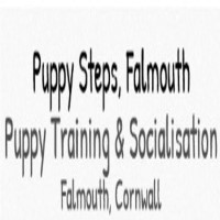 Puppy Steps Training Falmouth Cornwall Logo 
