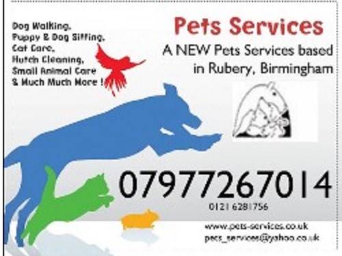 Pets Services