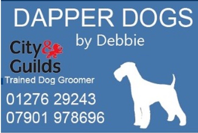 Dapper Dogs by Debbie