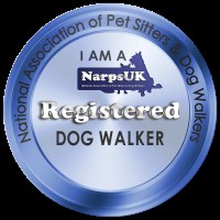 The Newquay Dog Walker Newquay Cornwall Logo 