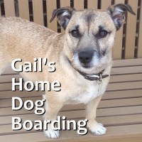Gail's Home Dog Boarding Morecambe Lancashire Logo 