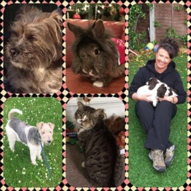 Carol's Canny Paws. Pet Services and Dog Training