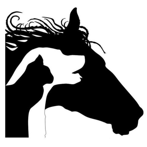 EquePet - Equestrian & Pet Services