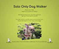 Tails of Adventure Barnsley South Yorkshire Logo 