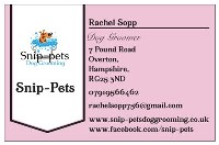 Pets At Home Craigavon Dog Grooming Pets At Home Craigavon Dog Grooming