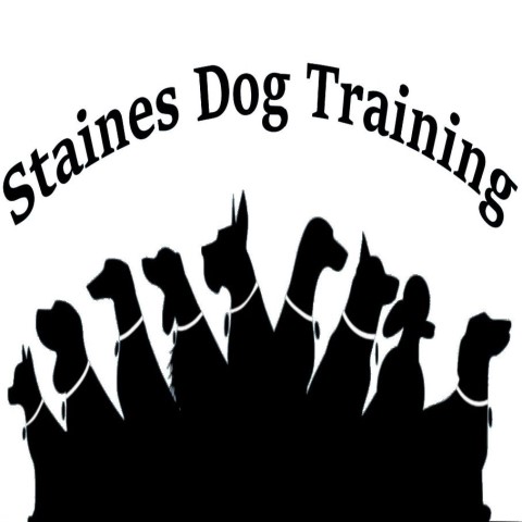 Staines Dog Training