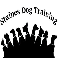 Staines Dog Training Staines Surrey Logo 