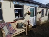 Buddies Grooming Bridport Dorset Logo 