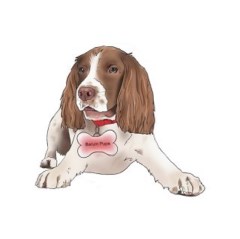 Barum Pups Barnstaple Devon Logo 