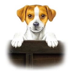 All creatures animal services whitby North Yorkshire Logo 