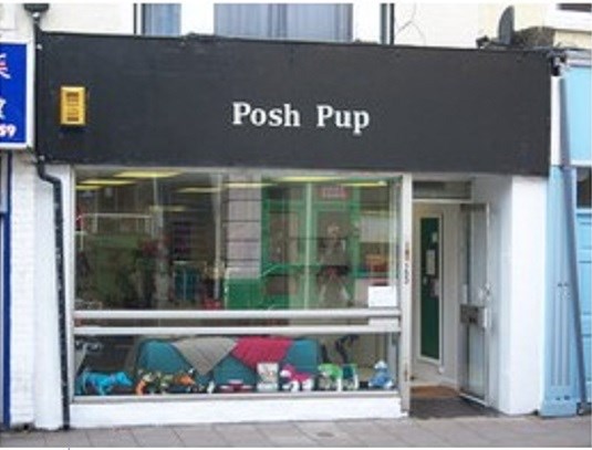 Posh Pup Grooming