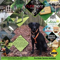 Conifer Kennels Clophill, Near Shefford Bedfordshire Logo 