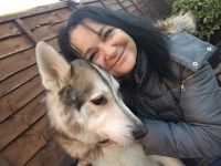 The Cat and Dog Nanny Highbridge Somerset Logo 