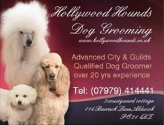 Hollywood Hounds Bognor Regis West Sussex Logo 