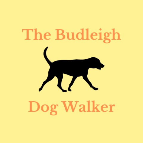 Budleigh Dog Walker
