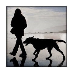 My4Paws.uk Newport Isle Of Wight Logo 