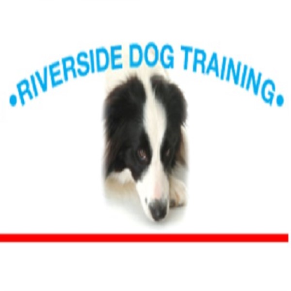 Riverside Dog Training Club
