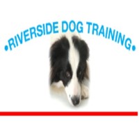 Riverside Dog Training Club Twickemham Greater London Logo 