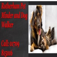 Rotherham Pet Minding Rotherham South Yorkshire Logo 
