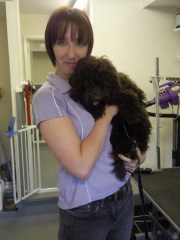 The Dog Grooming Studio Chobham Surrey Logo 