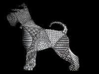 Doggie Doodles Dog Grooming Bagshot Surrey Logo 