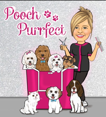 Pooch Purrfect Dog & Cat Grooming