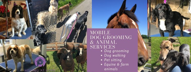 Hounds at Home: Mobile Dog Grooming & Services