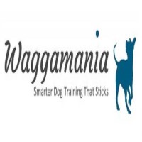 Waggamania Craven Arms Shropshire Logo 