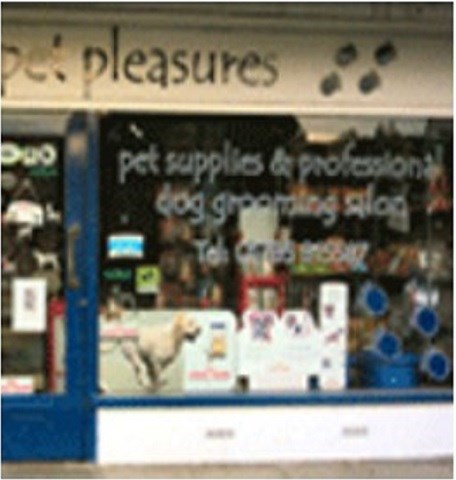Pet Pleasures Ltd