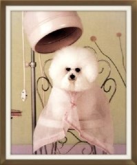 Poppys Pet Parlour Orpington Greater London Logo 