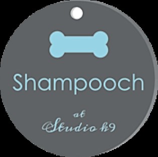 Shampooch at StudioK9