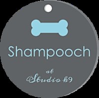 Shampooch at StudioK9 Bowness on Windermere Cumbria Logo 