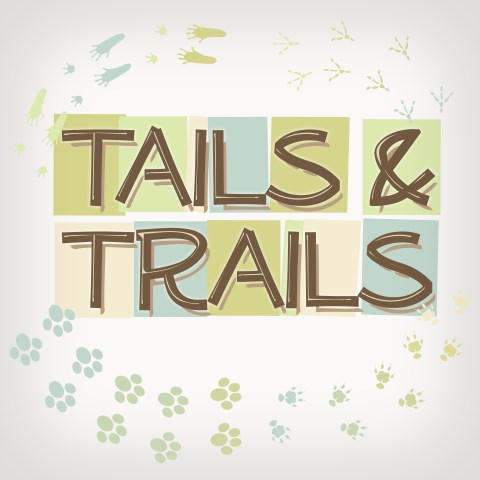 Tails and Trails
