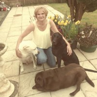 Treading the Trails Dog Walking Thetford Norfolk Logo 