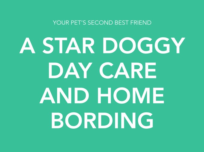 A Star Doggy Day Care and Home Boarding