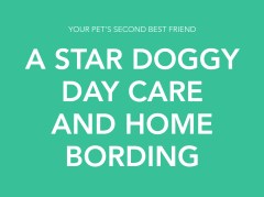 A Star Doggy Day Care and Home Boarding Holsworthy Devon Logo 