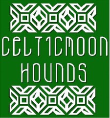 Celticmoon Home Boarding and Day Care Leighton, Welshpool Powys Logo 