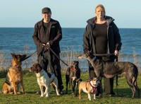 Bark Busters Dog Training And Behavioural Therapy Romford Greater London Logo 