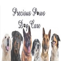 Precious Paws Dog Care Beckenham Greater London Logo 