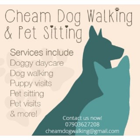 Cheam Dog Walking & Pet Sitting