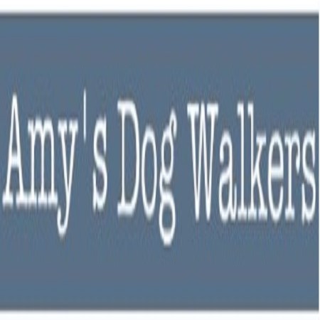 Amy's Dog Walkers