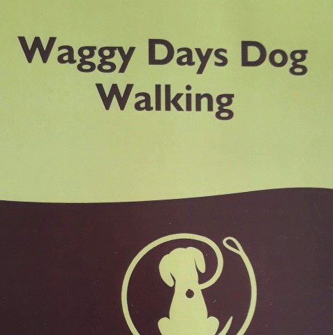 Waggy Days Dog Walking