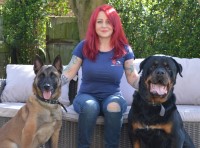 The Fairydogmother (Yorkshire) Ltd Leeds West Yorkshire Logo 