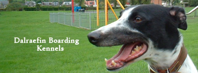 Dalraefin Boarding Kennels