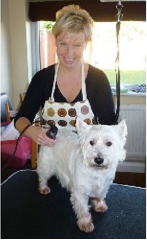 Cheshire Mobile Dog Grooming